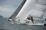 thalia irl733 whyw18 tue gjmc 8165w